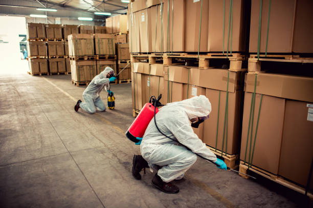 Best Pest Prevention Services  in South Eliot, ME