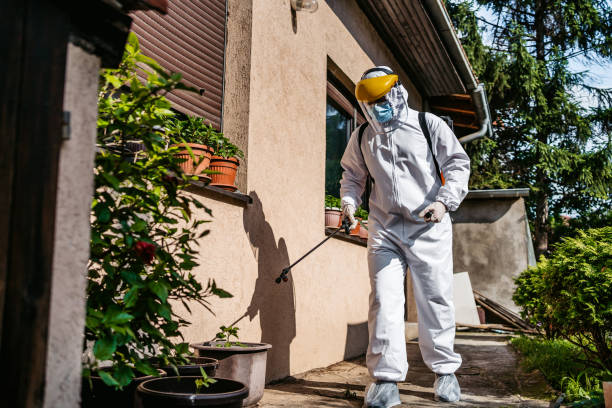 Best Pest Control Near Me  in South Eliot, ME