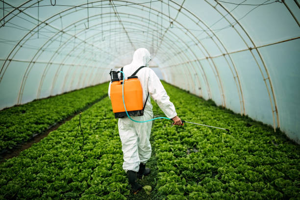 Best Pest Removal Services  in South Eliot, ME