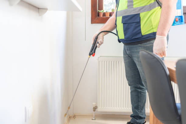 Best Pest Inspection Near Me  in South Eliot, ME
